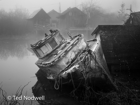 Finn Slough, Fog